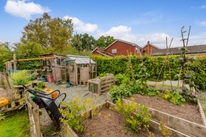 Veggie Plot- click for photo gallery